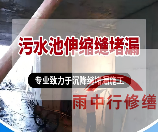 莆田2026年高分子防水卷材成高端市场主流，光伏屋面需求爆发